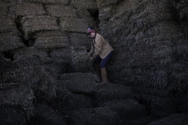 cc7262eb-703e-45de-8611-60939eb6d3e9