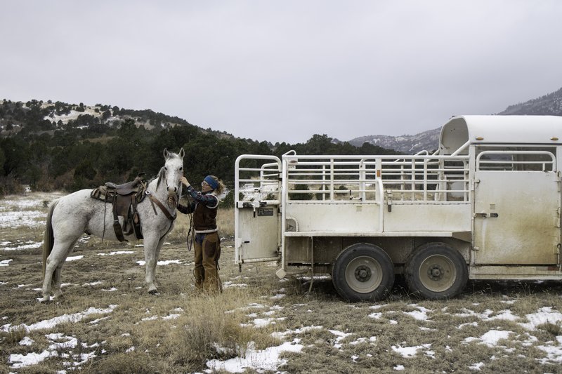 86a0c620-8679-43b0-9867-47ed5dd3bf4f